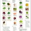 Anti-inflammatory Shopping List - Image 3